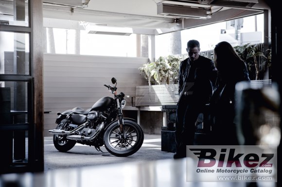 2010 Harley-Davidson Sportster XL 883N Iron 883 photo